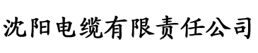 大香蕉综合网视频电缆厂logo